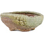 Pot à bonsaï ovale non émaillé par Bizanyaki - 130 x 125 x 55 mm