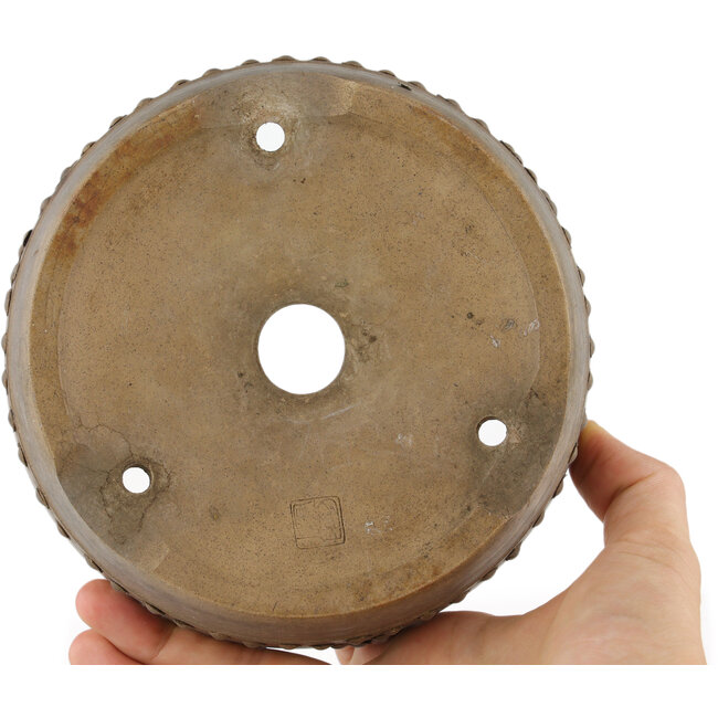 Vaso bonsai rotondo non smaltato - 145 x 145 x 45 mm