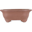 Mokko unglazed bonsai pot by Gyouzan - 180 x 140 x 70 mm