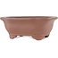 Mokko unglazed bonsai pot by Gyouzan - 180 x 140 x 70 mm