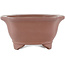 Mokko unglazed bonsai pot by Gyouzan - 180 x 140 x 70 mm