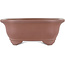 Mokko unglazed bonsai pot by Gyouzan - 180 x 140 x 70 mm