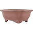 Mokko unglazed bonsai pot by Gyouzan - 180 x 140 x 70 mm