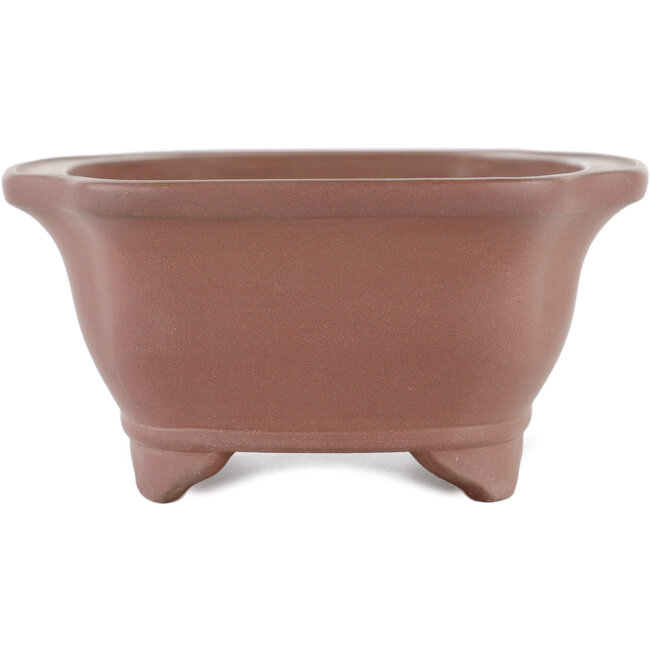 Vaso bonsai Mokko non smaltato di Gyouzan - 180 x 140 x 70 mm