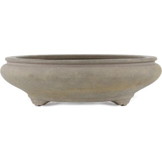  Other Tokoname bonsai pot makers Vaso non smaltato da 190 mm proveniente da Tokoname, Giappone