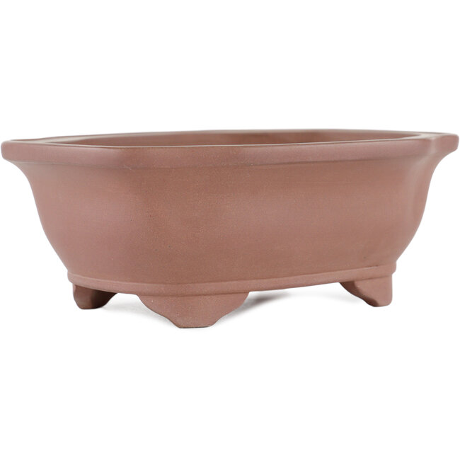 Mokko unglazed bonsai pot by Gyouzan - 180 x 140 x 70 mm