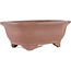 Mokko unglazed bonsai pot by Gyouzan - 180 x 140 x 70 mm