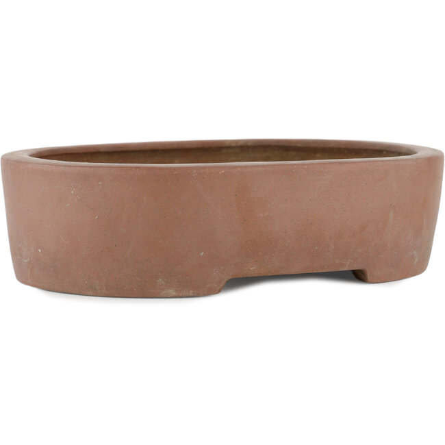Vaso bonsai ovale non smaltato di Keizan - 215 x 165 x 55 mm