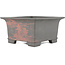 Vierkante ongeglazuurde bonsaipot van Tosui - 185 x 185 x 105 mm
