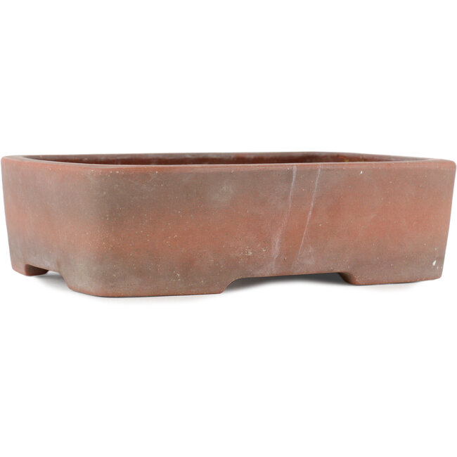 Maceta rectangular para bonsái sin esmaltar de Zenigo - 250 x 195 x 70 mm