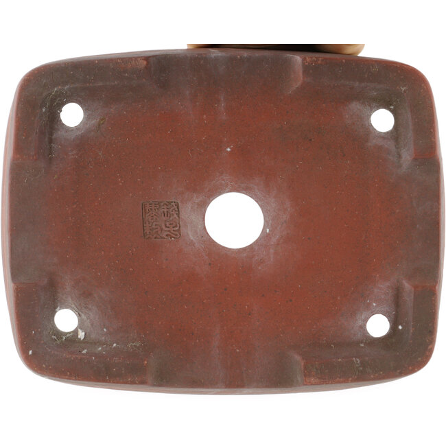 Maceta rectangular para bonsái sin esmaltar de Zenigo - 250 x 195 x 70 mm