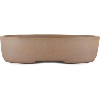  Satomi Mazan, Mazan Terahata Vaso bonsai non smaltato da 225 mm di Terahata Satomi Mazan, Tokoname, Giappone
