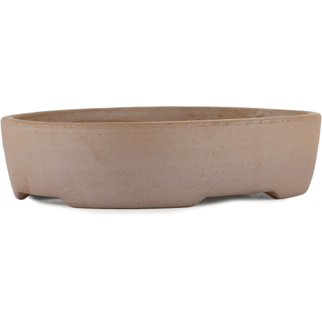 Vaso bonsai ovale non smaltato di Terahata Satomi Mazan - 225 x 175 x 55 mm