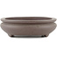 Maceta para bonsái ovalada sin esmaltar de Yamaaki - 295 x 210 x 60 mm