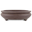 Oval unglazed bonsai pot by Yamaaki - 295 x 210 x 60 mm