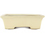 Rectangular beige bonsai pot by Yamafusa - 240 x 210 x 60 mm