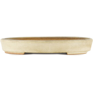 Hattori Tomoyuki Maceta para bonsái beige de 230 mm de Hattori, Tokoname, Japón