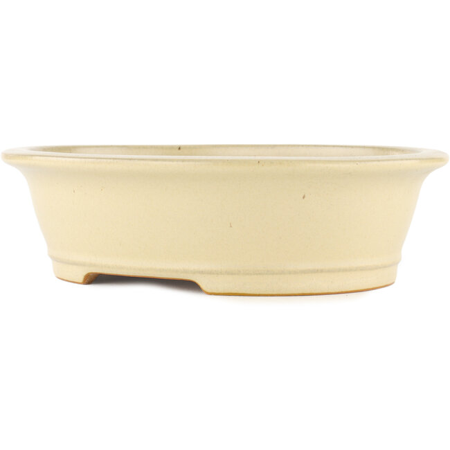 Pot à bonsaï ovale blanc cassé par Reiho - 290 x 245 x 80 mm