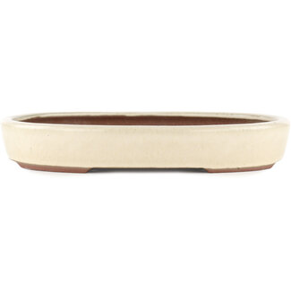  Yamaaki Maceta para bonsái color hueso de 285 mm de Yamaaki, Tokoname, Japón