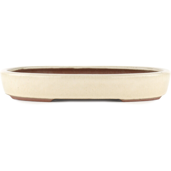 Pot à bonsaï ovale blanc cassé par Yamaaki - 285 x 225 x 45 mm