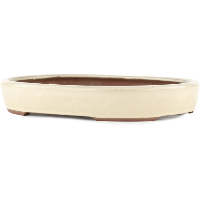 Vaso bonsai ovale bianco sporco di Yamaaki - 285 x 225 x 45 mm