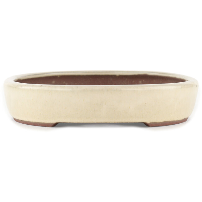 Maceta para bonsái ovalada blanco roto de Yamaaki - 285 x 225 x 45 mm