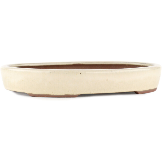 Maceta para bonsái ovalada blanco roto de Yamaaki - 285 x 225 x 45 mm
