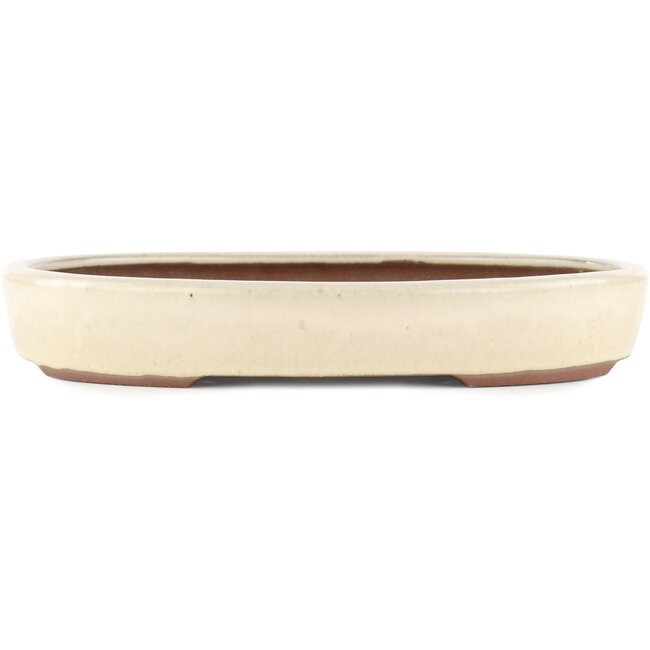 Pot à bonsaï ovale blanc cassé par Yamaaki - 285 x 225 x 45 mm