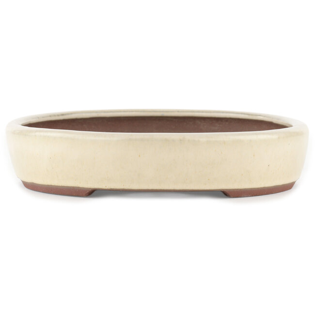 Oval off-white bonsai pot by Yamaaki - 285 x 225 x 45 mm