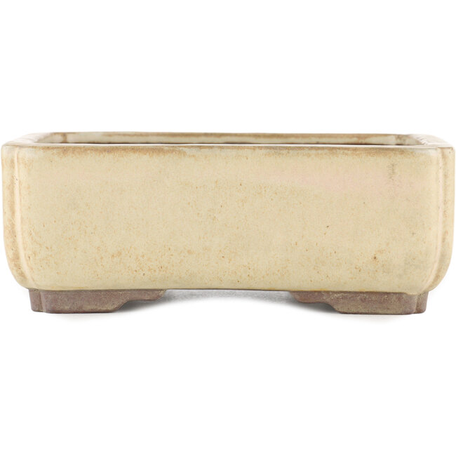 Rectangular off-white bonsai pot by Yamaaki - 240 x 185 x 85 mm