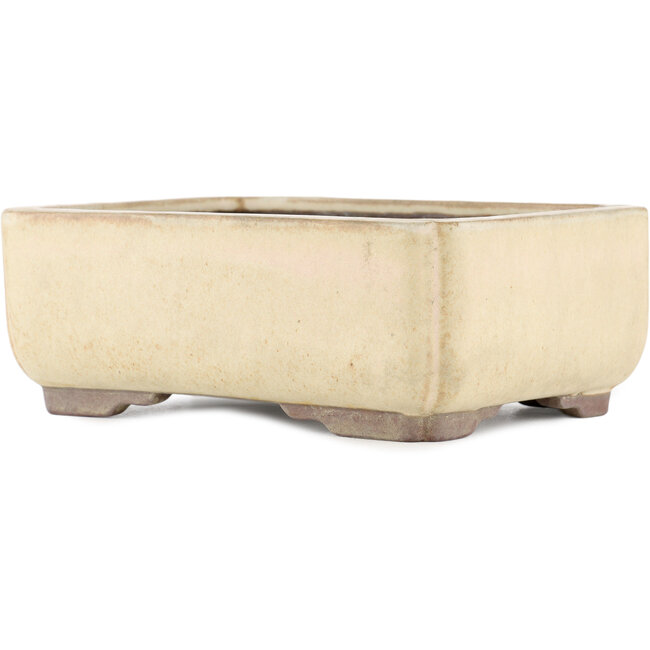 Maceta rectangular para bonsái blanco roto de Yamaaki - 240 x 185 x 85 mm