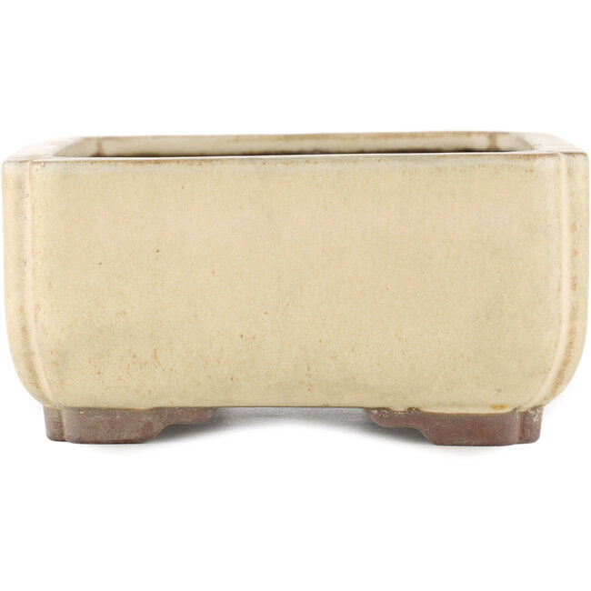 Maceta rectangular para bonsái blanco roto de Yamaaki - 240 x 185 x 85 mm