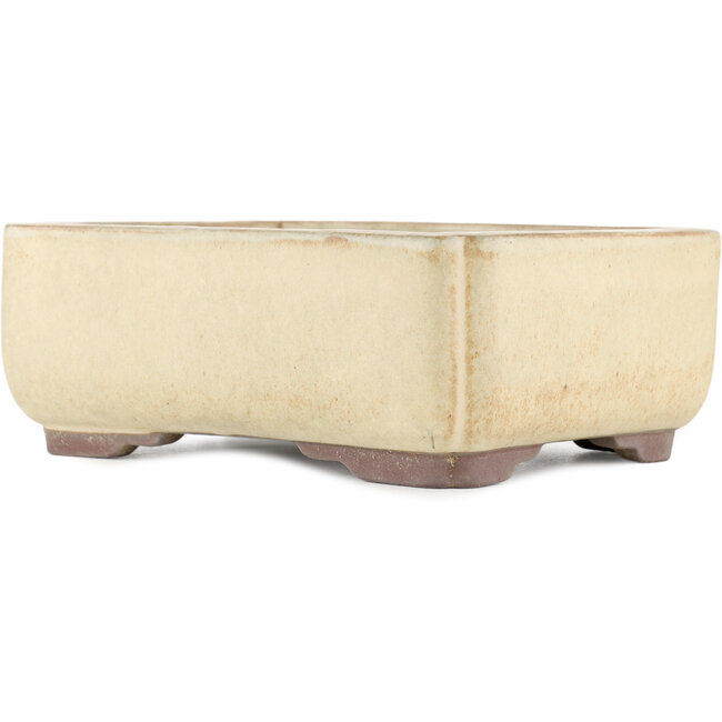 Maceta rectangular para bonsái blanco roto de Yamaaki - 240 x 185 x 85 mm