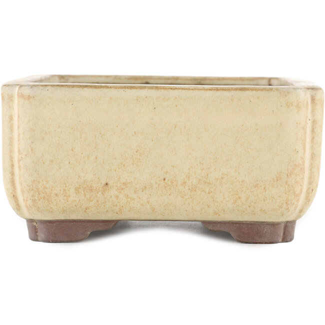 Maceta rectangular para bonsái blanco roto de Yamaaki - 240 x 185 x 85 mm