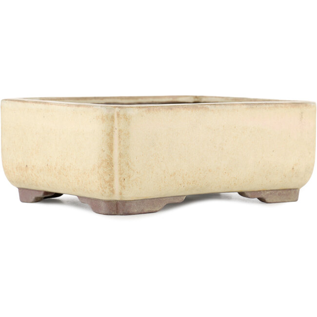 Rechteckiger cremeweißer Bonsaitopf von Yamaaki - 240 x 185 x 85 mm