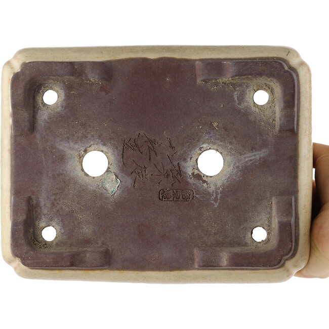 Maceta rectangular para bonsái blanco roto de Yamaaki - 240 x 185 x 85 mm