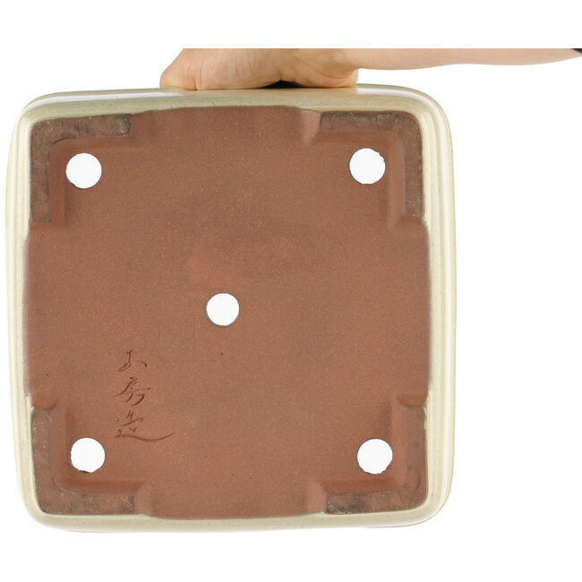 Pot à bonsaï carré blanc cassé par Yamafusa - 240 x 240 x 90 mm