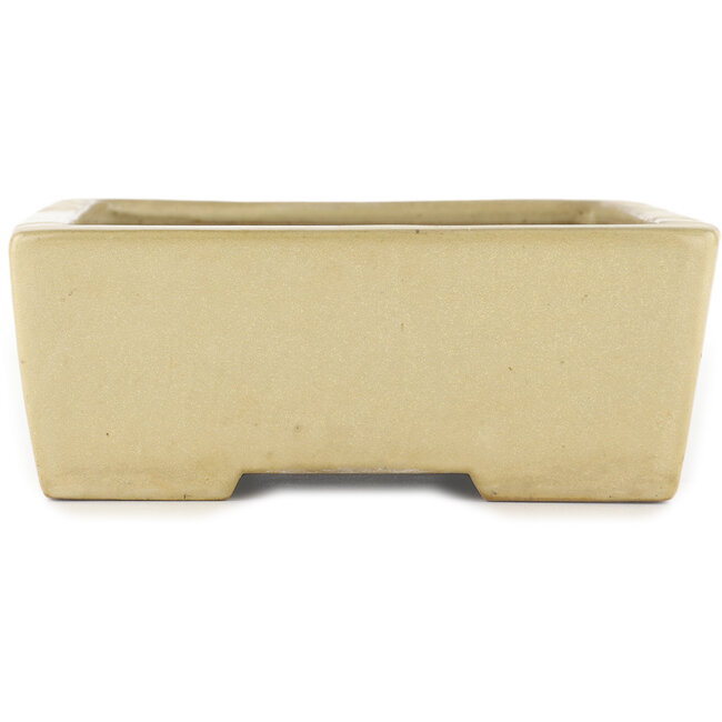 Vaso bonsai rettangolare bianco sporco di Yamafusa - 275 x 210 x 80 mm