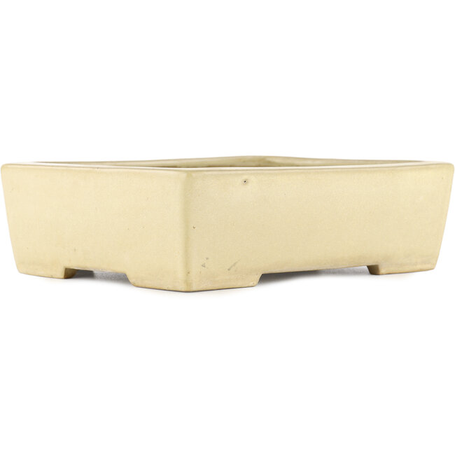 Vaso bonsai rettangolare bianco sporco di Yamafusa - 275 x 210 x 80 mm