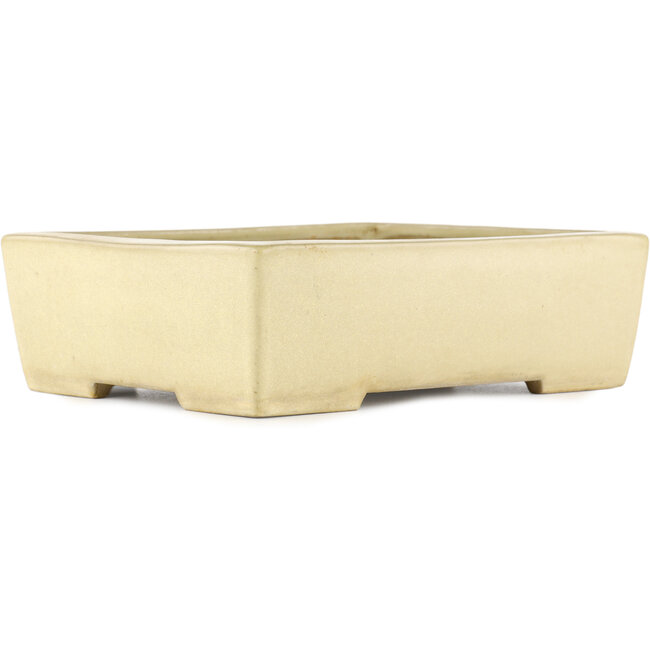 Vaso bonsai rettangolare bianco sporco di Yamafusa - 275 x 210 x 80 mm