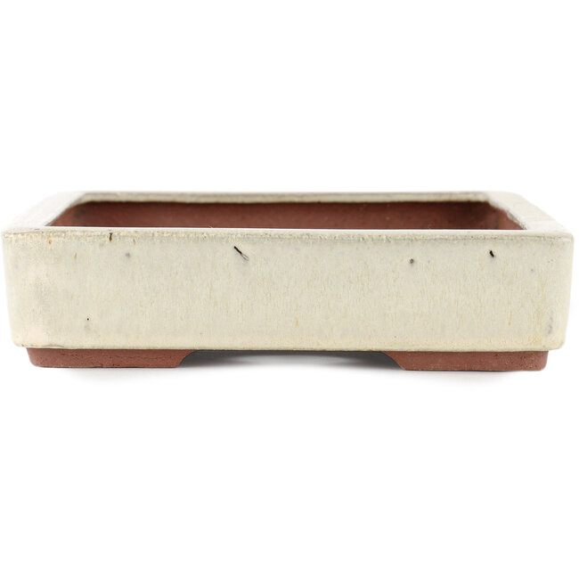 Rectangular off-white bonsai pot by Eime Yozan - 310 x 215 x 55 mm