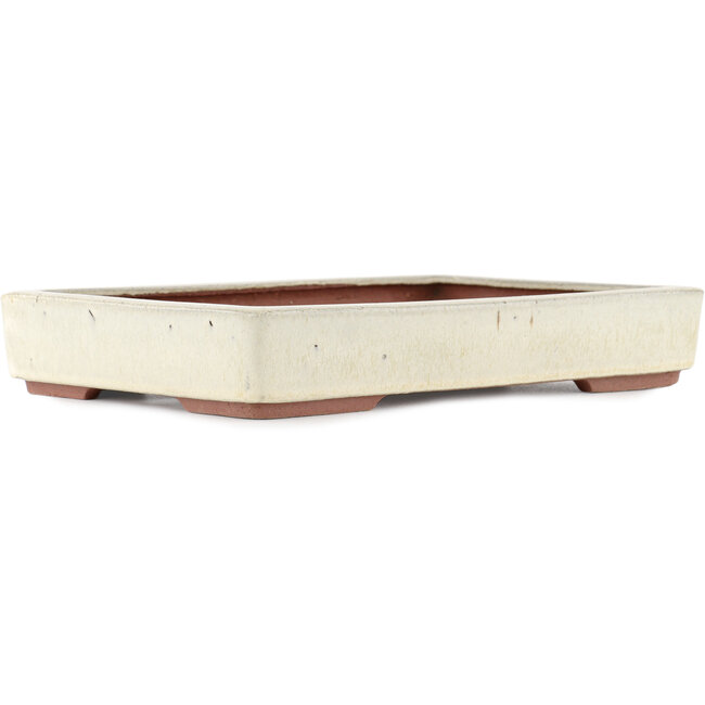 Rectangular off-white bonsai pot by Eime Yozan - 310 x 215 x 55 mm