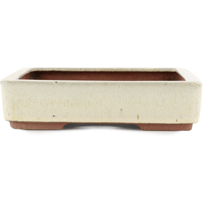 Pot à bonsaï rectangulaire blanc cassé par Eime Yozan - 310 x 215 x 55 mm