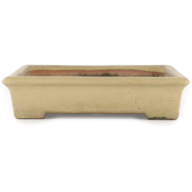 Pot à bonsaï rectangulaire blanc cassé par Reiho - 355 x 230 x 55 mm