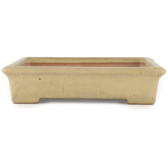 Rechteckiger cremeweißer Bonsaitopf von Reiho - 355 x 230 x 55 mm