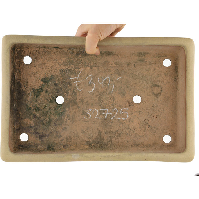 Pot à bonsaï rectangulaire blanc cassé par Reiho - 355 x 230 x 55 mm