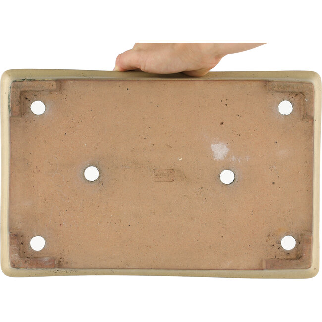 Rechteckiger cremeweißer Bonsaitopf von Reiho - 355 x 230 x 55 mm