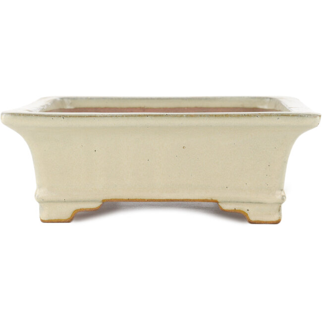 Pot à bonsaï rectangulaire blanc cassé par Reiho - 345 x 240 x 85 mm