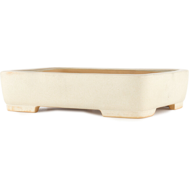 Maceta rectangular para bonsái blanco roto de Reiho - 350 x 265 x 85 mm