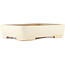 Maceta rectangular para bonsái blanco roto de Reiho - 350 x 265 x 85 mm